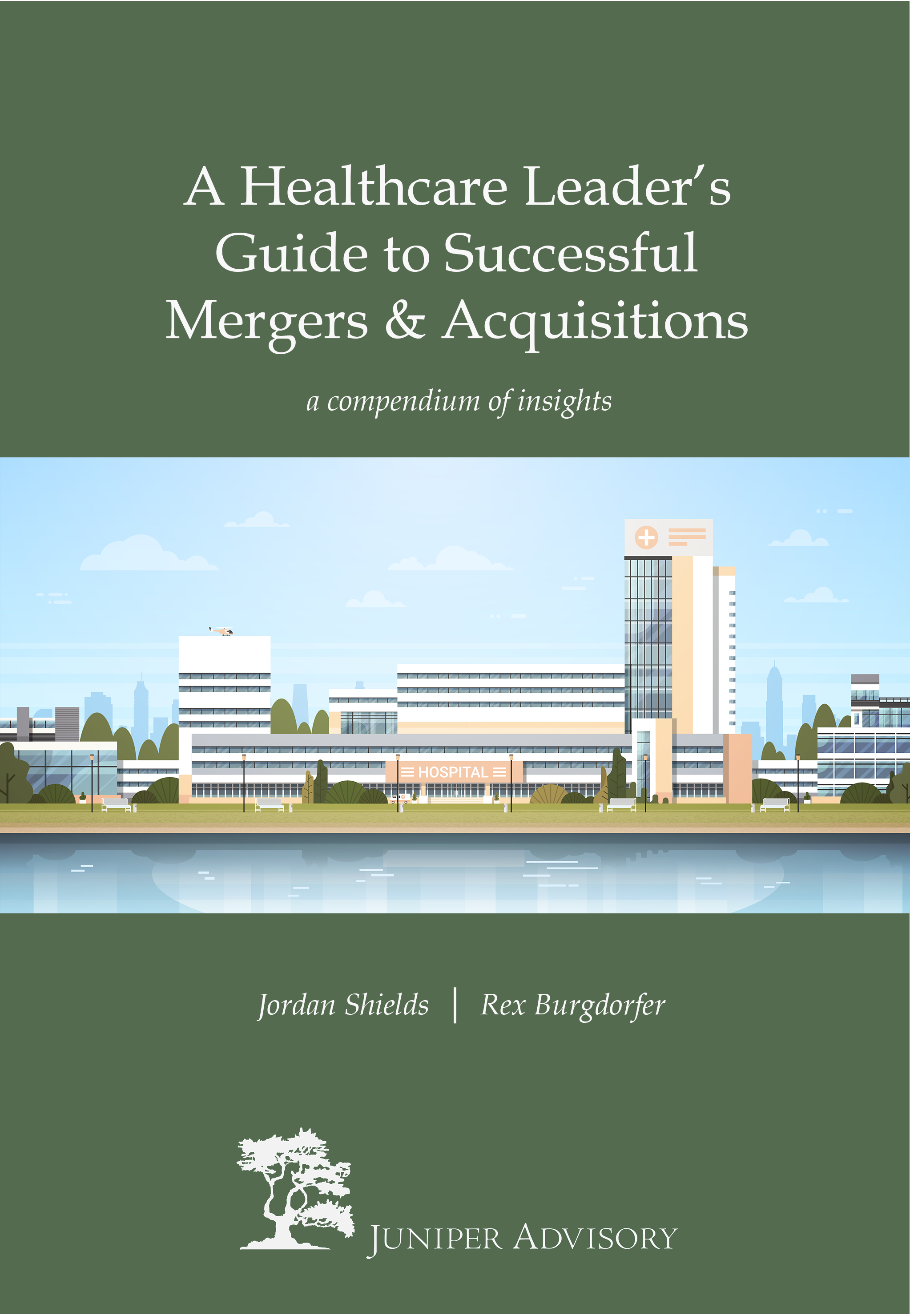 Section IV Structural Alternatives Juniper Advisory